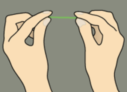 Holding the floss taut between thumbs and forefingers